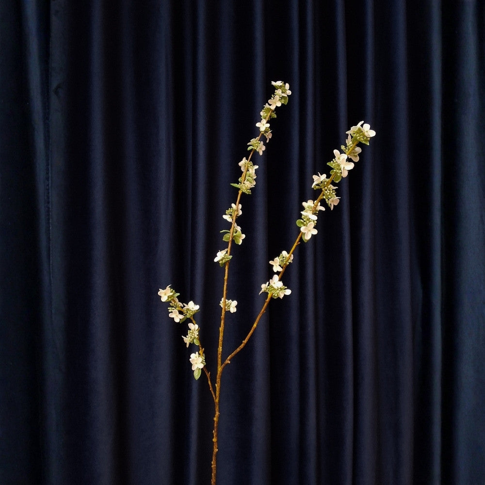 Bloesemtak_-_Seed_flowering_1 - Puur Edith