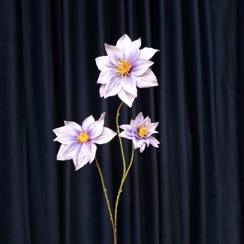 Bosrank_-_Clematis - Puur Edith