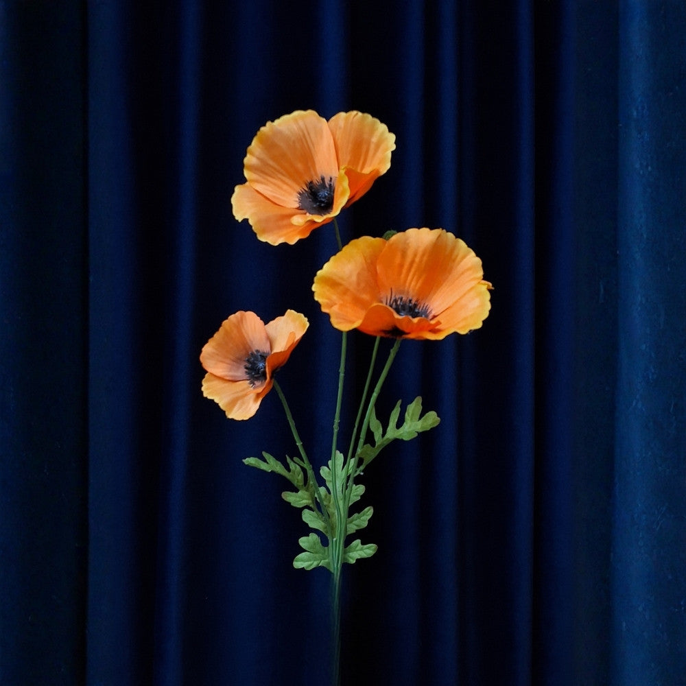 Klaproos_-_Poppy_3 - Puur Edith