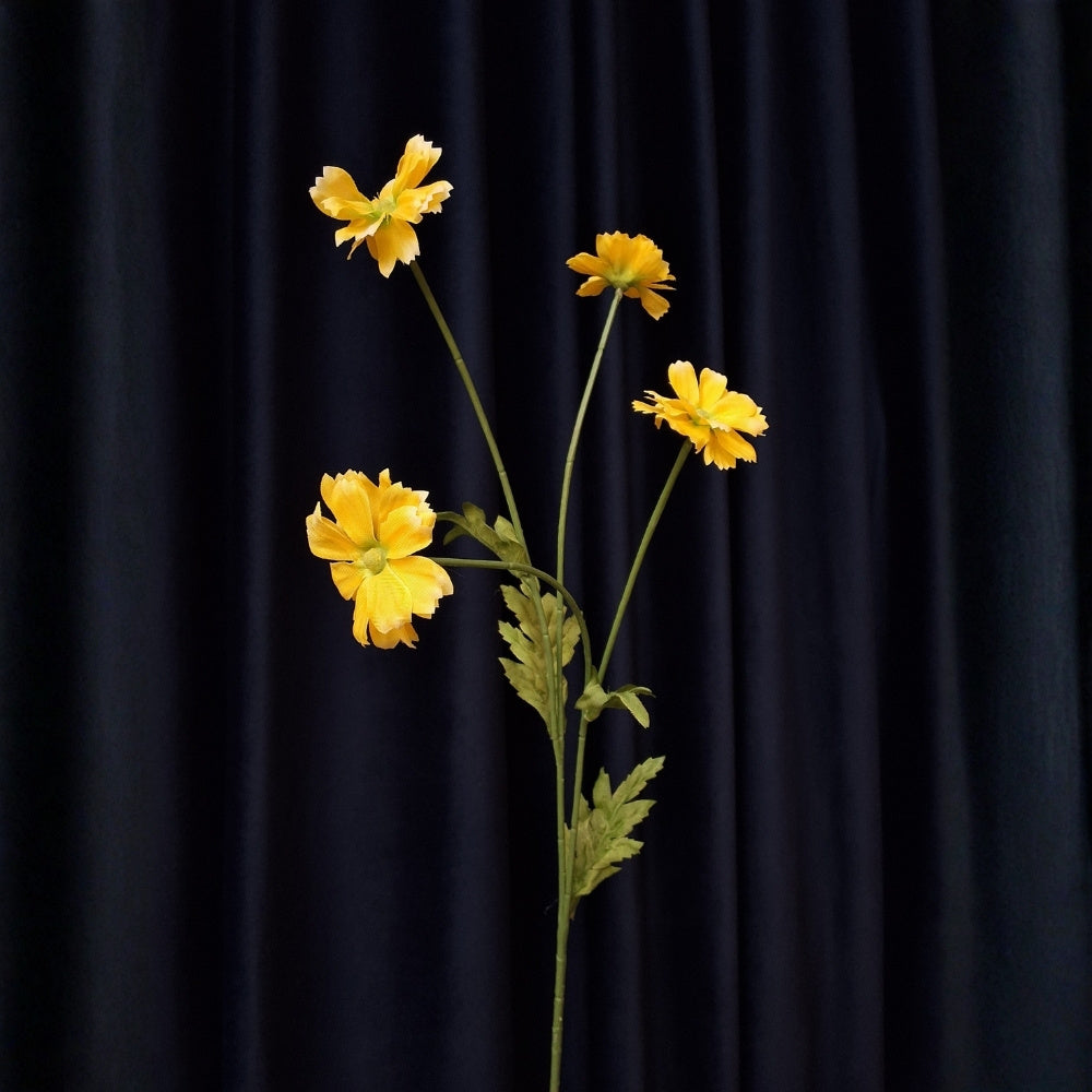 Margriet_-_Daisy - Puur Edith