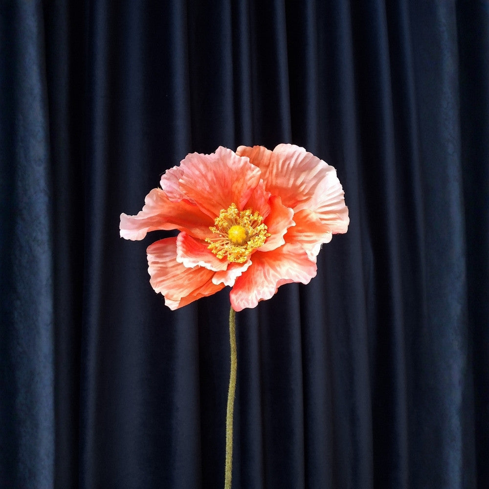 Papaver_-_Poppy_1 - Puur Edith