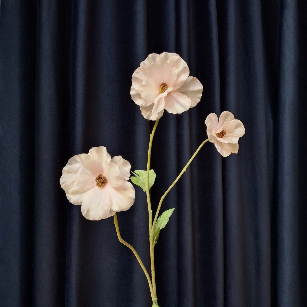 Ranonkel_-_Ranunculus_1 - Puur Edith