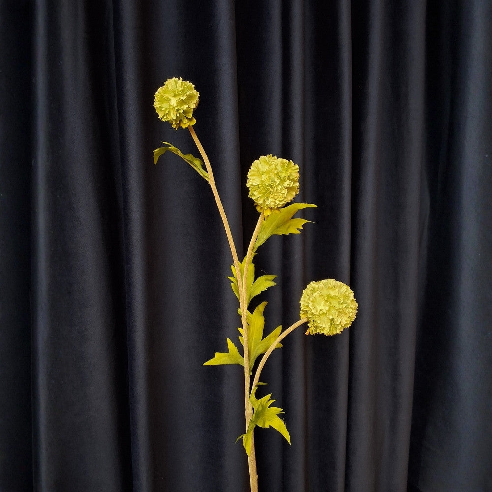 Sier_ui_-_Pompom_Allium_1 - Puur Edith