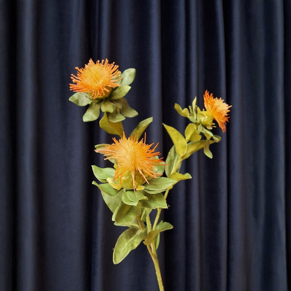 Speldenkussen-Leucospermum_1 - Puur Edith