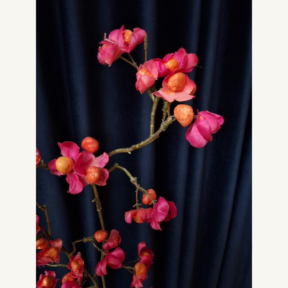 Wilde_kardinaalmuts_-_Bittersweet - Puur Edith