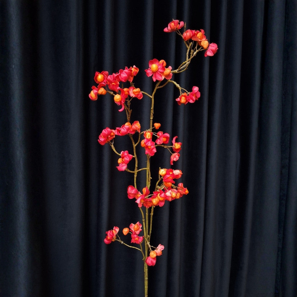 Wilde_kardinaalmuts_-_Bittersweet_1 - Puur Edith