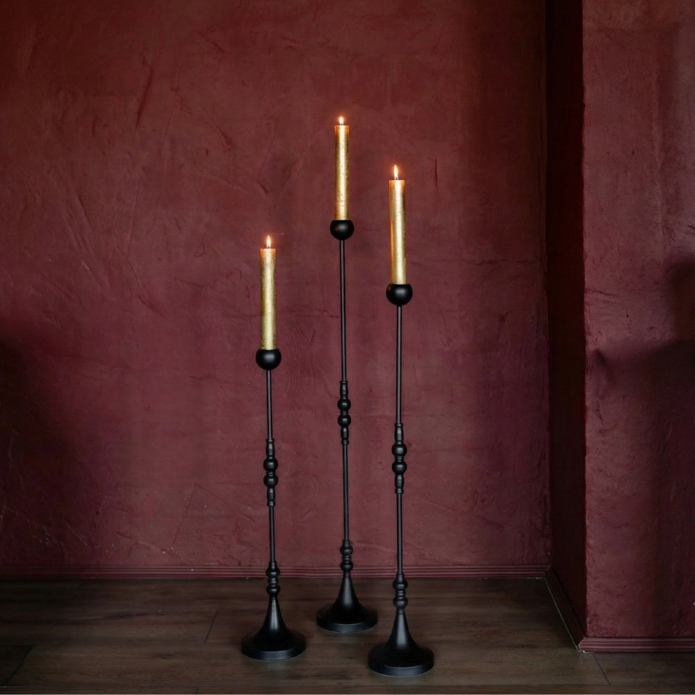 Zwartevloerkandelaar - Puur Edith