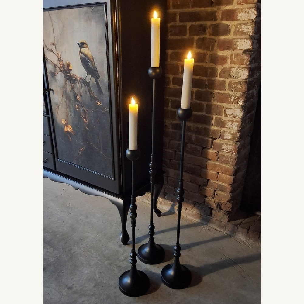 Zwartvloerkandelaar - Puur Edith