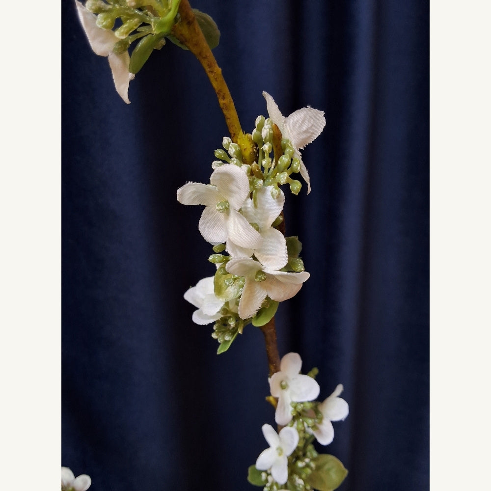 Bloesemtak_-_Seed_flowering - Puur Edith