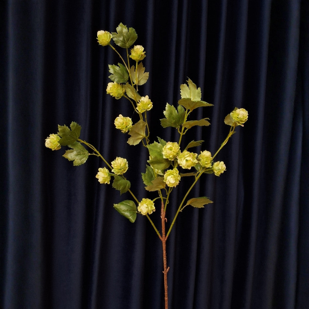 Hop_bloem_tak_1_5d9f6514-749f-4577-b28e-93df03ace70f - Puur Edith