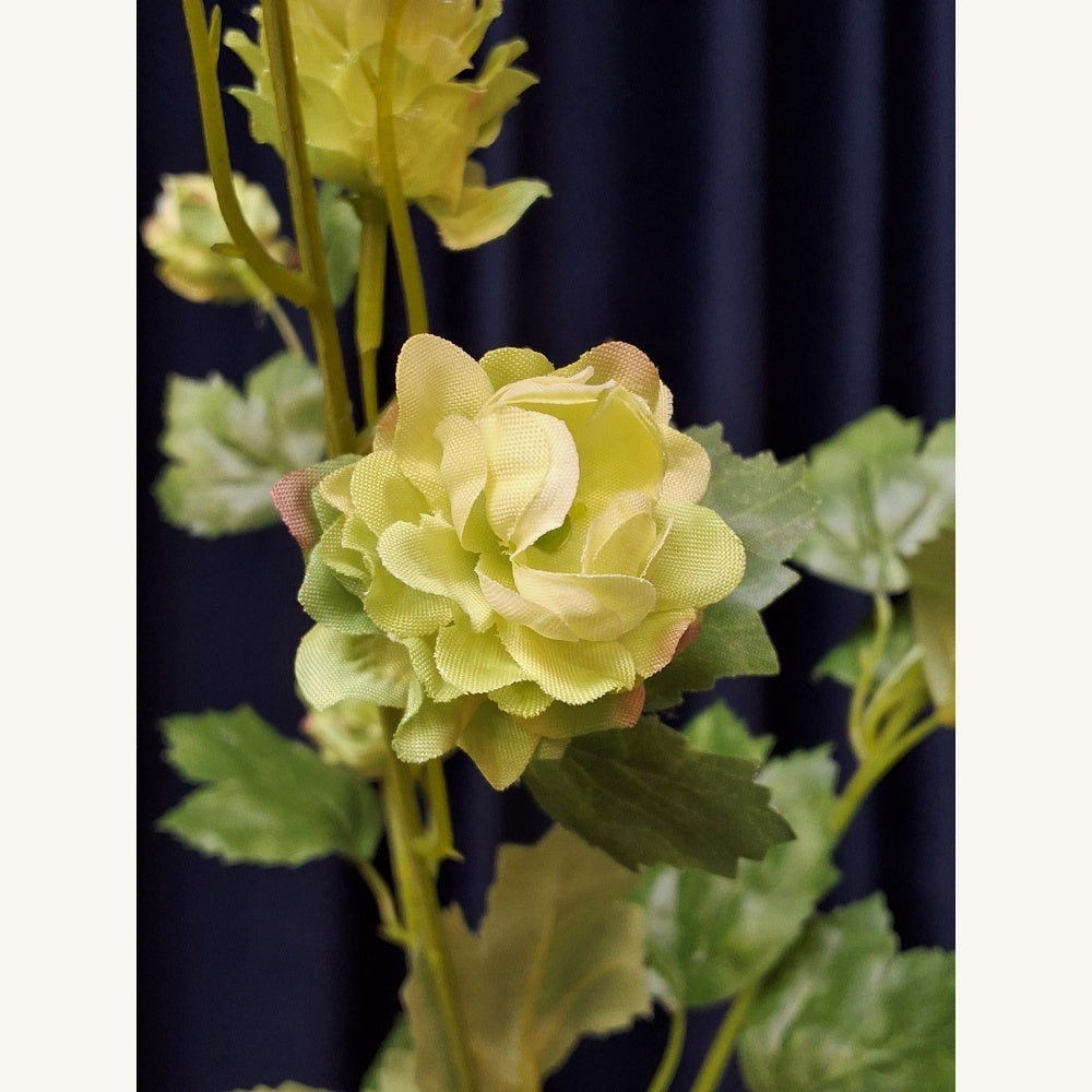 Hop_bloem_tak_e42f0dc7-6061-4b14-9038-c6d4eca4b7d4 - Puur Edith