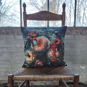 Kussen | Zeepaardjes