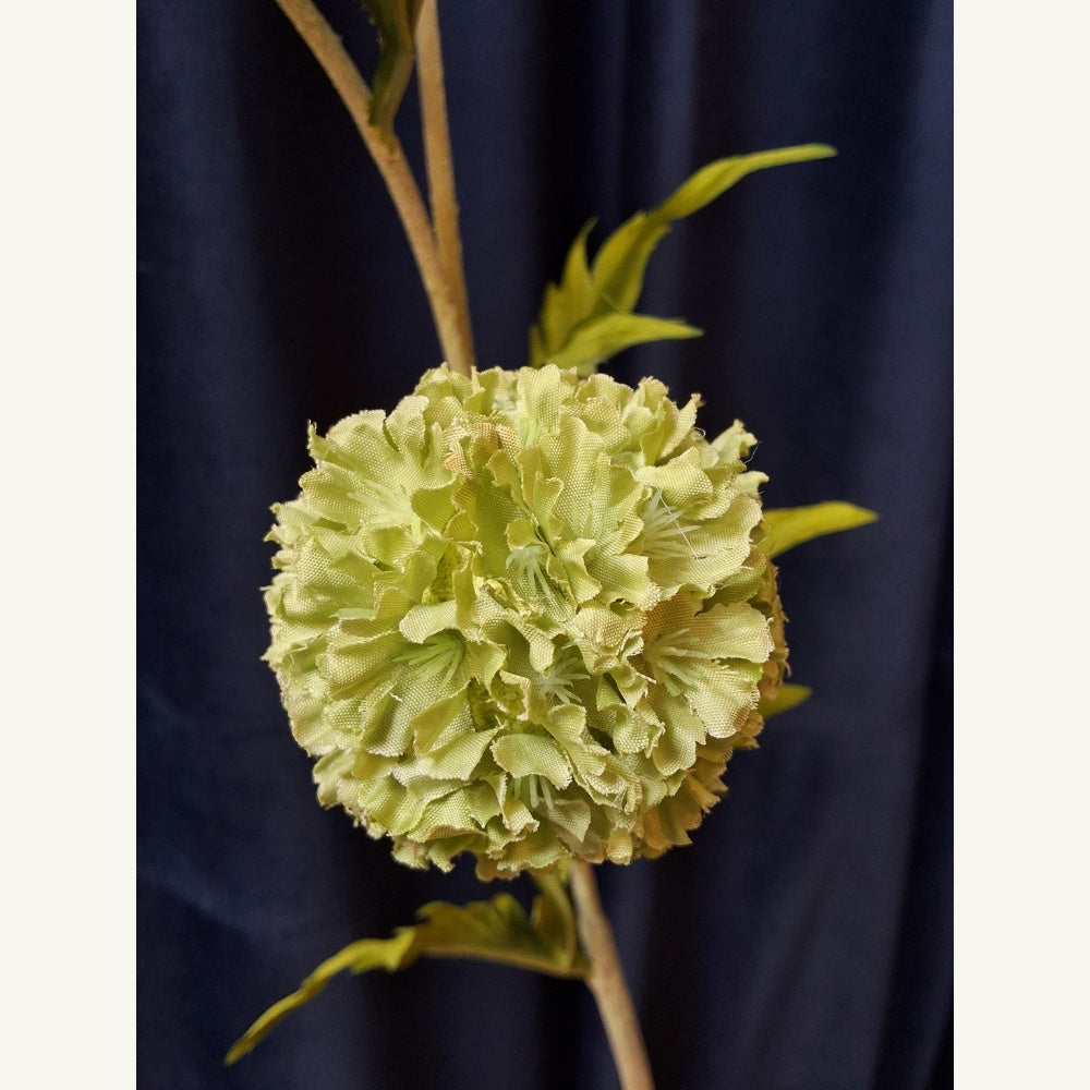 Sier_ui_-_Pompom_Allium - Puur Edith