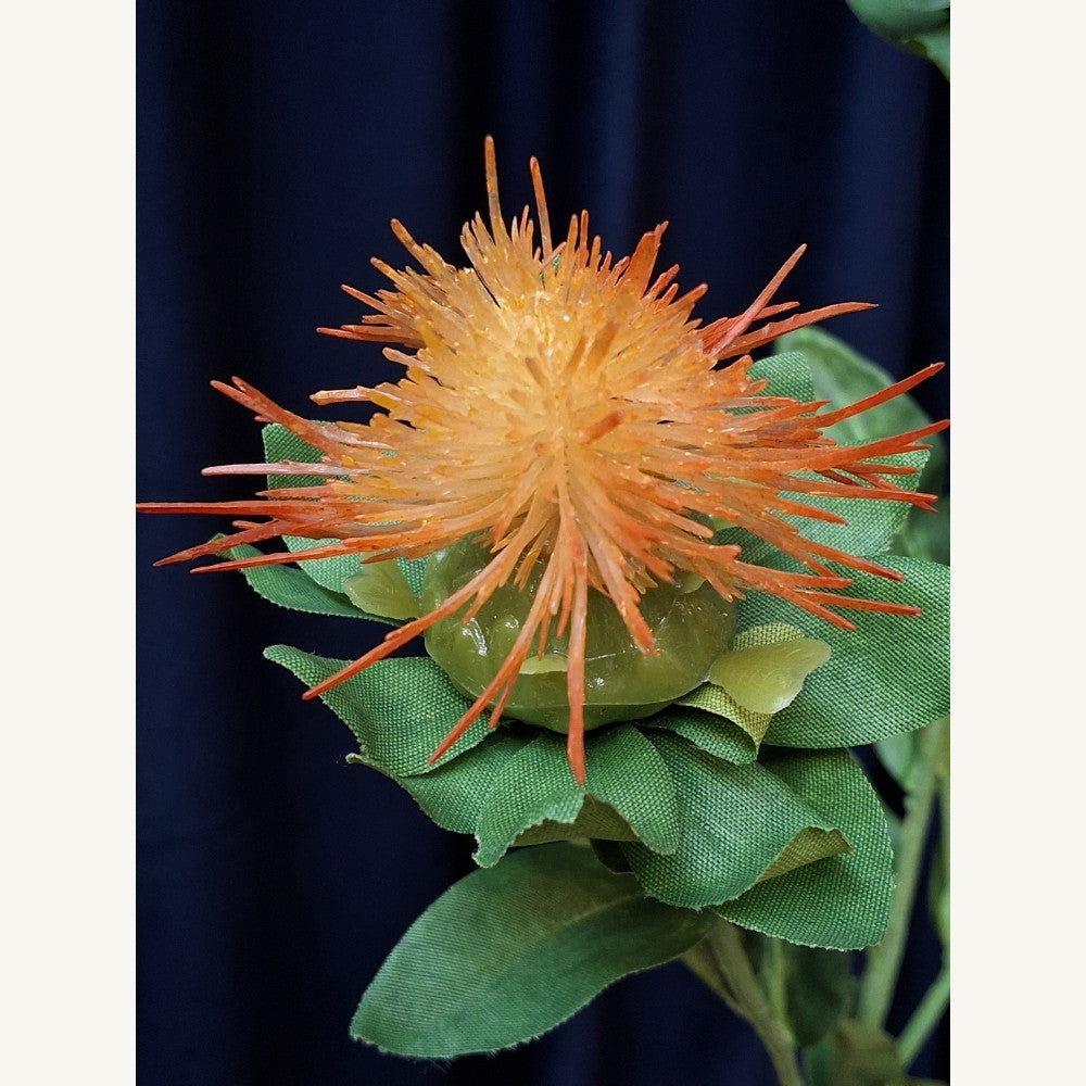 Speldenkussen-Leucospermum - Puur Edith