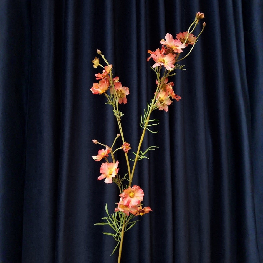 Zonnekruid_-_Helenium - Puur Edith