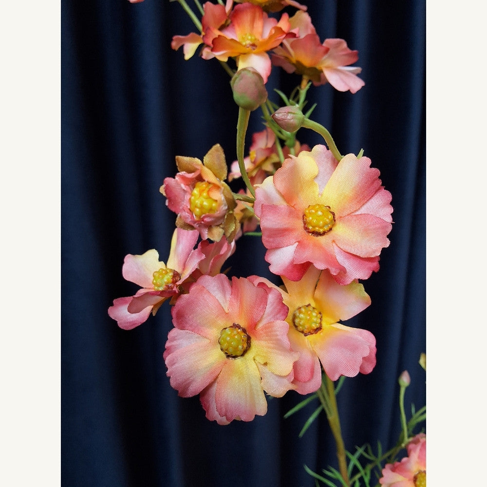 Zonnekruid_-_Helenium_1 - Puur Edith